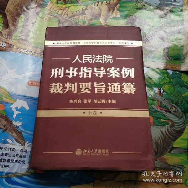 人民法院刑事指导案例裁判要旨通纂（下卷）