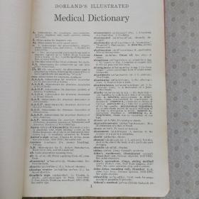 Dorland's Illustrated Medical Dictionary 24the Edition 多兰插图医学大辞典 24版