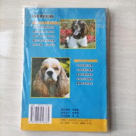 美国可卡犬  (4) 经典名犬系列