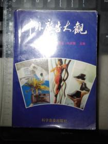中外广告大观