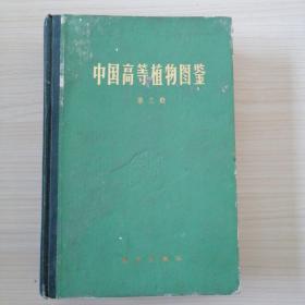 中国高等植物图鉴第三册