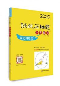 2020挑战压轴题·中考数学—强化训练篇