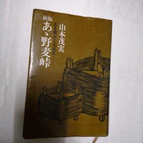 新版野麦山顶