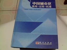 中国城市化：格局·过程·机理