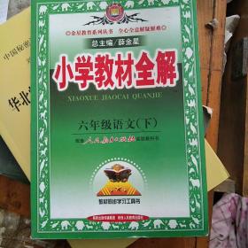 小学教材全解：6年级语文（下）（人教课标版）