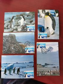 加盖中国极地考察30年纪念邮戳的南极企鹅自制极限片五种