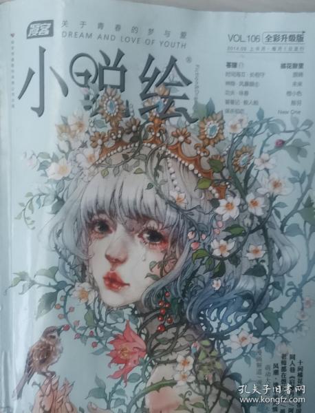 小说绘