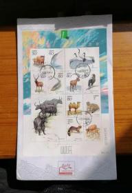 2001-4动物二小版张信销剪片