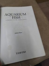 《AQUARIUM   FISH A PORTRAIT  OF  THE  ANIMAL      WORLD》精装8开本