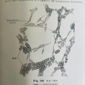 小组织学