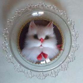 怀旧收藏一七八十年代玻璃小猫(16cm*16cm)