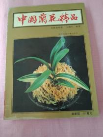 中国兰花精品