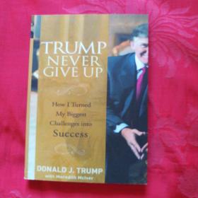 Trump - Never Give Up: How I Turned My Biggest Challenges into Success