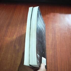 CLARENDON LAW SERIES【2本合售.详见图】