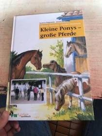 kleine ponys-grobe pferde小马-粗壮的马