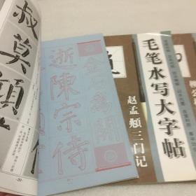 毛笔水写大字帖:颜真卿楷书结构九十二法、黄自元楷书九十二法、柳公权楷书九十二法、赵孟頫三门记、张猛龙碑、王羲之兰亭序、褚遂良雁塔圣教序(7册合售)