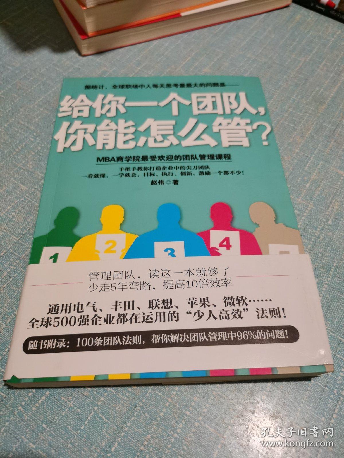 给你一个团队，你能怎么管？（附小薄册，团队法则100条）