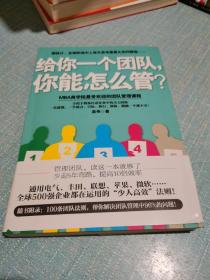 给你一个团队，你能怎么管？（附小薄册，团队法则100条）