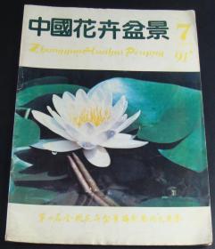中国花卉盆景1991年第7期