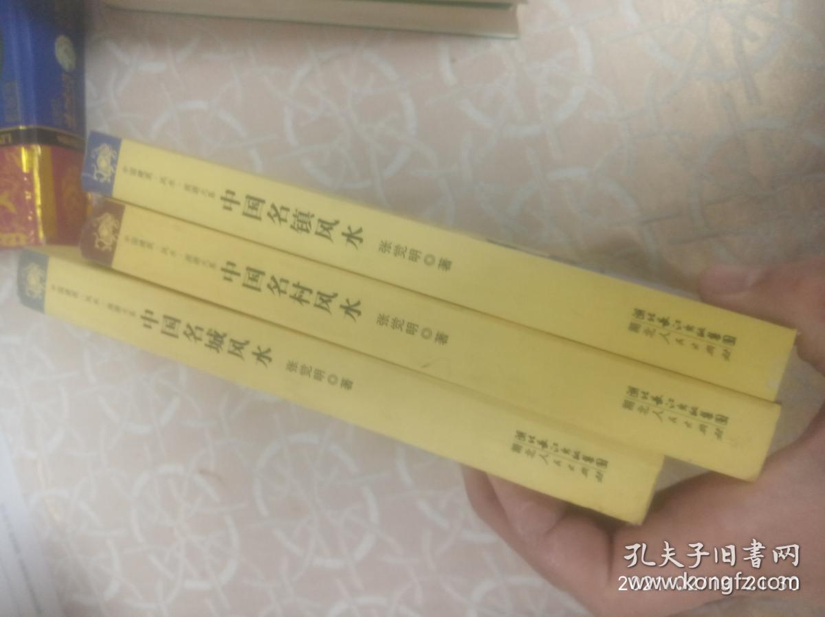 中国【名城，名镇，名村】风水 【三册合售】