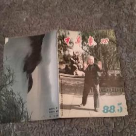 中华气功 杂志1988年第5期（7品16开48页有水渍封底左上角缺角目录参看书影）50718