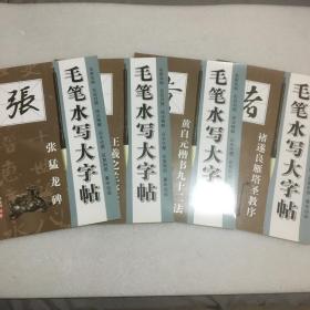 毛笔水写大字帖:颜真卿楷书结构九十二法、黄自元楷书九十二法、柳公权楷书九十二法、赵孟頫三门记、张猛龙碑、王羲之兰亭序、褚遂良雁塔圣教序(7册合售)