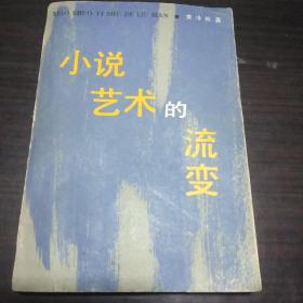 小说艺术的流变.