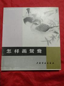 怎样画鸳鸯 （中国画技法入门）