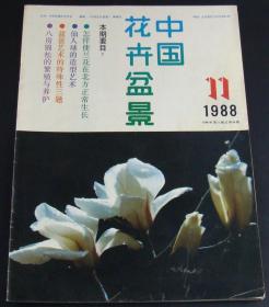 中国花卉盆景1988年第11期