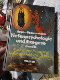 Tiefenpsychologie und Exegese Band II:Wunder,Vision,weissagung Apokalypse,Geschichte,Gleichnis  德文原版 18开852页