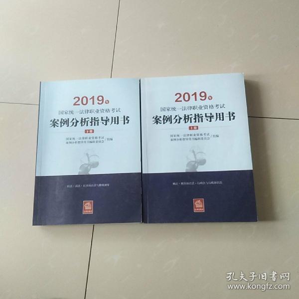 司法考试2019 2019年国家统一法律职业资格考试案例分析指导用书（全2册）