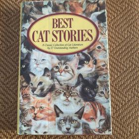 Best cat stories