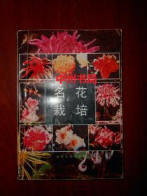 名花栽培（1989年一版一印 扉页有赠印章字迹 内页自然旧无勾划）