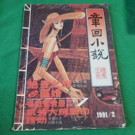 章回小说1991.2