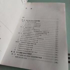 知识产权保护制度的经济学分析：软件知识产权精要