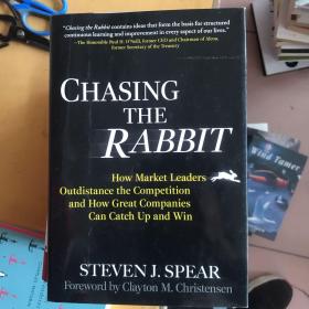 CHASING THE RABBIT