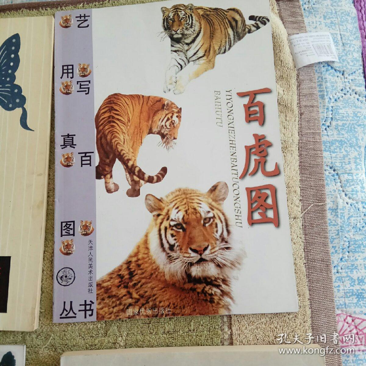 蝴蝶图案  百虎图  中国画名作类编一鹤  百鸡图   百鹰图谱  鸟谱   今奇画猫  百鹰图谱