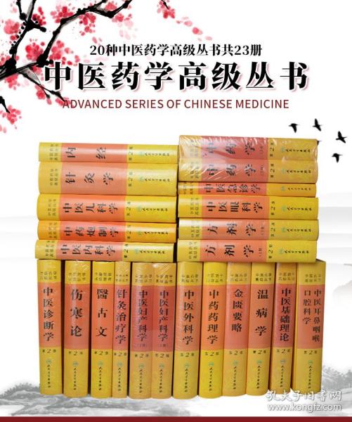 中医药学高级丛书  针灸治疗学(第2版)