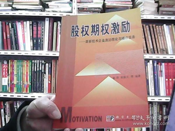 股权期权激励：高新技术企业激励理论与操作实务