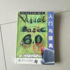 Visual Basic 6.0中文版入门与提高
