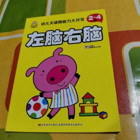 幼儿关键斯能力大开发2-4岁 左脑右脑【新】（彩图版装）