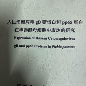 人巨细胞病毒gB糖蛋白和pp65蛋白在毕赤酵母细胞中表达的研究