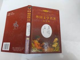 外国文学名著小宝库被涂污的鸟下土地上