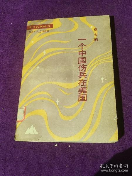 一个中国伤兵在美国  昆仑文学丛书 馆藏