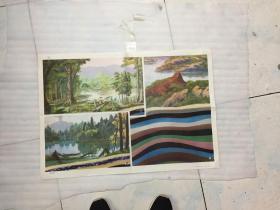 中学课本自然常识第四册教学挂图--煤的形成
