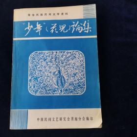 少年（花儿）论集 音乐