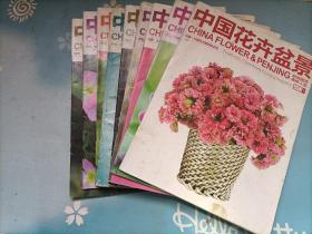 中国花卉盆景2013年1-2-4-5-6-7-8-9-10共9本合售