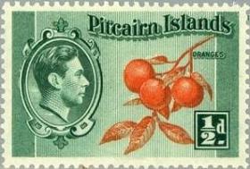 念椿萱 皮特凯恩岛  1 1965年 植物水果 10-1 橙子 半分全新 首张邮票