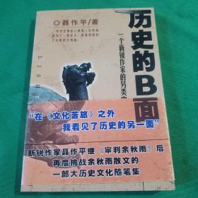 历史的B面：一个新锐作家的另类史观