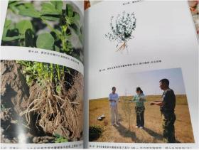 黃花草木樨綜合開發(fā)利用研究（吉林大學(xué)出版，彩版，多圖，請看實(shí)拍目錄，2015年一版一印。）